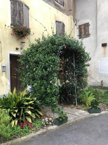 Il Casale Del Miele Bed & Breakfast Fraforeano Eksteriør bilde